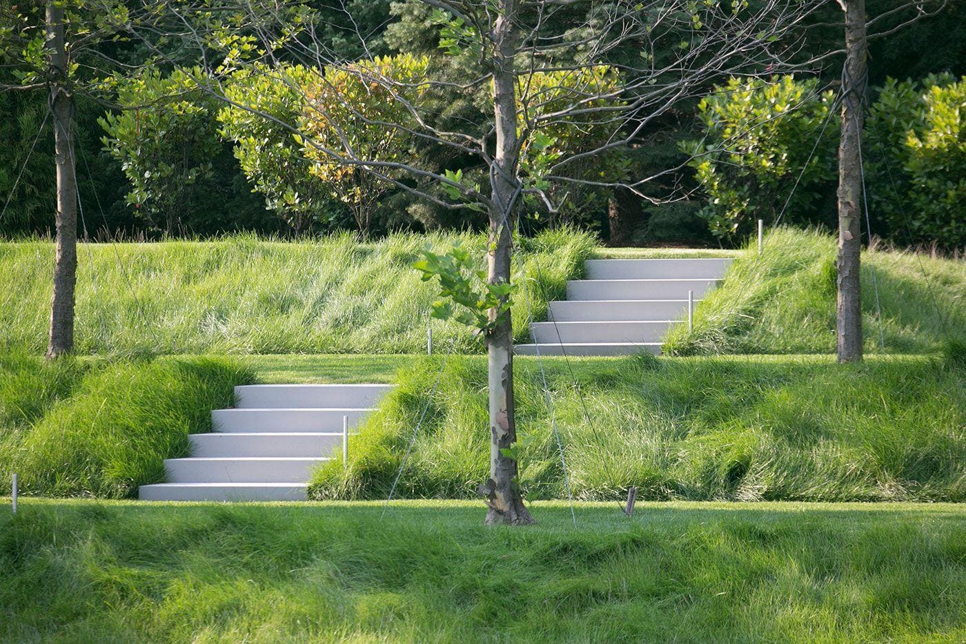 Transforming Visions into Vibrant Gardens